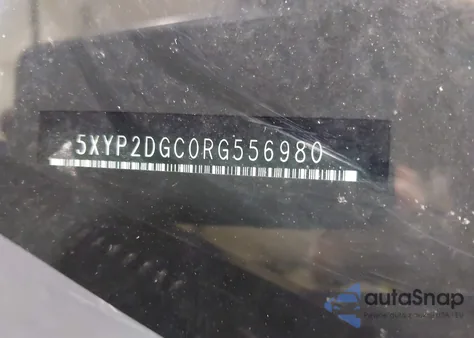 2024 Kia Telluride Lx from USA, damaged, VIN 5XYP2DGC0RG556980
